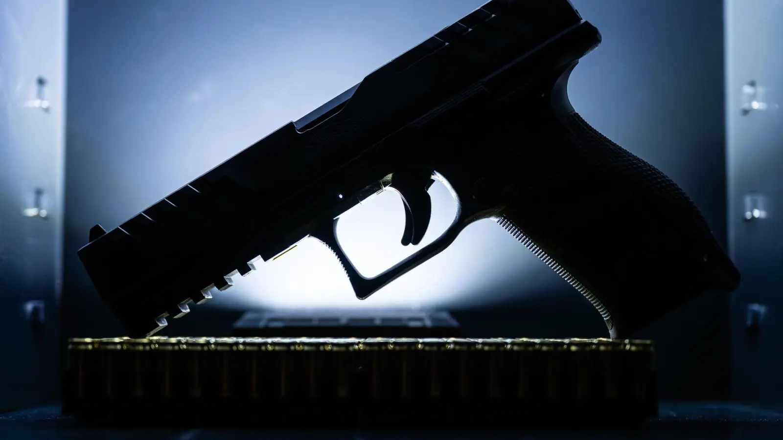 Unbekannte Täter haben einen Waffenschrank mit mehreren Schusswaffen aus einem Haus in der Oberpfalz gestohlen (Symbolbild). (Foto: Silas Stein/dpa)