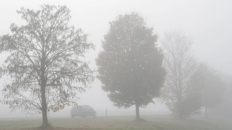 Nebel, Wolken und teilweise auch Regen: Am Wochenende und zum Start in die neue Woche zeigt sich typisch graues Novemberwetter im Freistaat. (Symbolbild)  (Foto: Stefan Puchner/dpa)