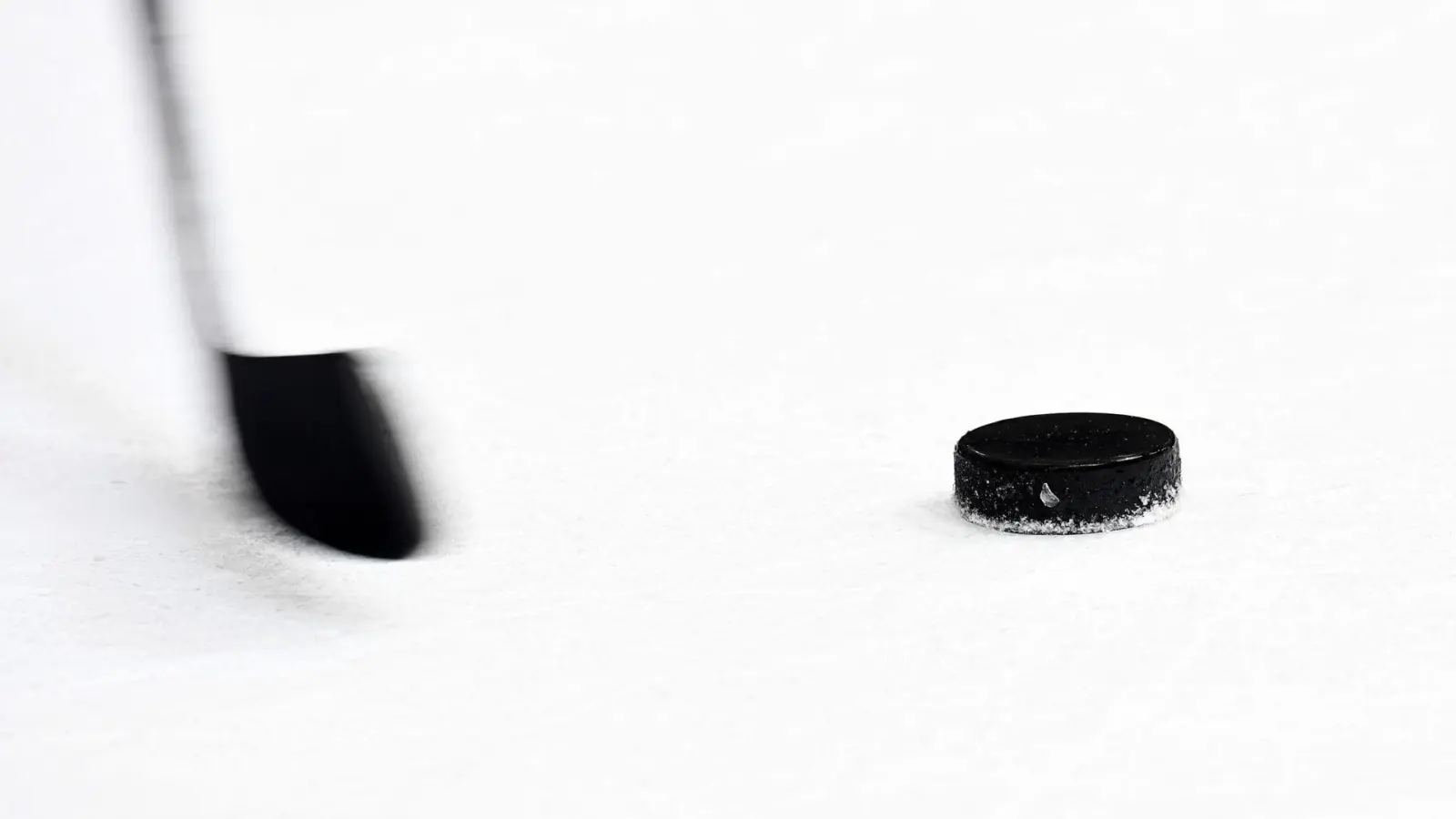 Ein Eishockeyschläger und ein Puck. (Foto: Tobias Hase/dpa/Symbolbild)