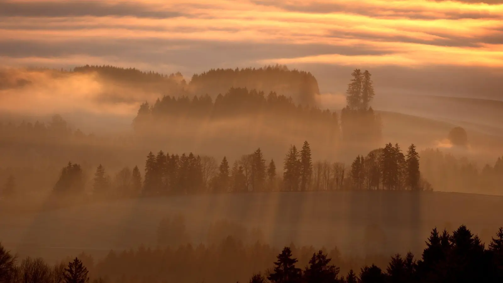 Der Samstag wird in allen Teilen des Freistaats sonnig.  (Foto: Karl-Josef Hildenbrand/dpa)