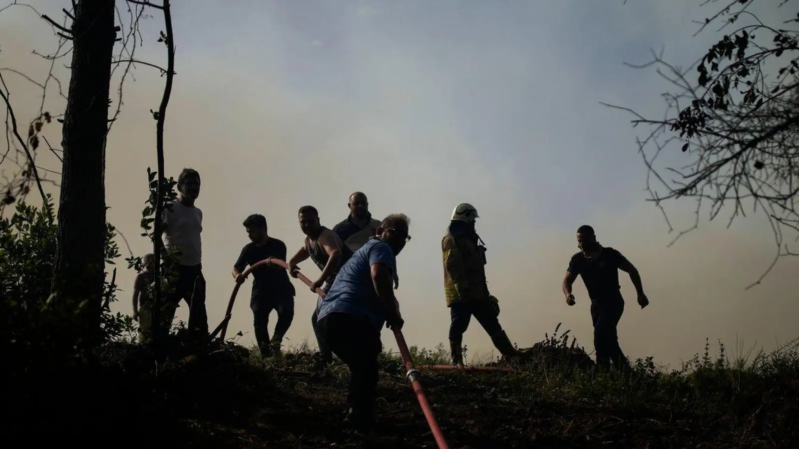 Immer wieder gibt es Waldbrände in der Türkei. (Archivbild) (Foto: Emrah Gurel/AP/dpa)