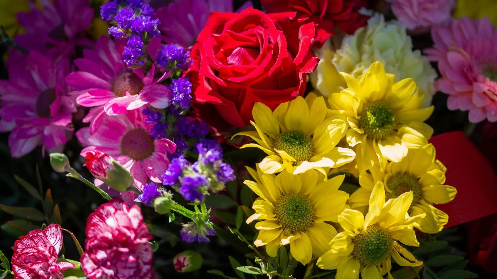 Blumen sind ein beliebtes Geschenk - auch zum Muttertag. (Foto: Fernando Gutierrez-Juarez/dpa)