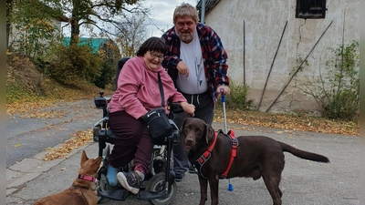 Ein eingespieltes Team (von rechts): Labrador Balou, der gerade zum Assistenzhund ausgebildet wird, sowie Heinz und Petra Rompel mit ihrer schon betagten Hündin Leila. (Foto: Anna Franck)