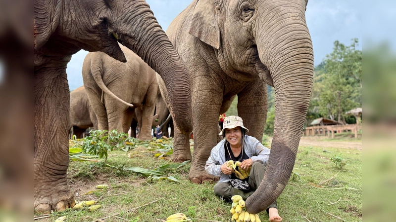 Saengduean „Lek“ Chailert verbringt täglich viel Zeit mit ihren Elefanten.  (Foto: Carola Frentzen/dpa)