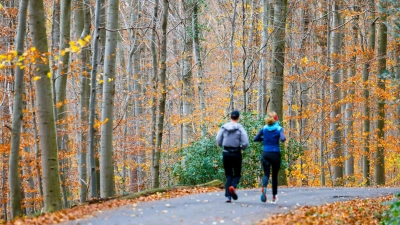 Wenn sich der Nebel lichtet, wird es in vielen Teilen Deutschlands sonnig. (Foto: Thomas Banneyer/dpa)
