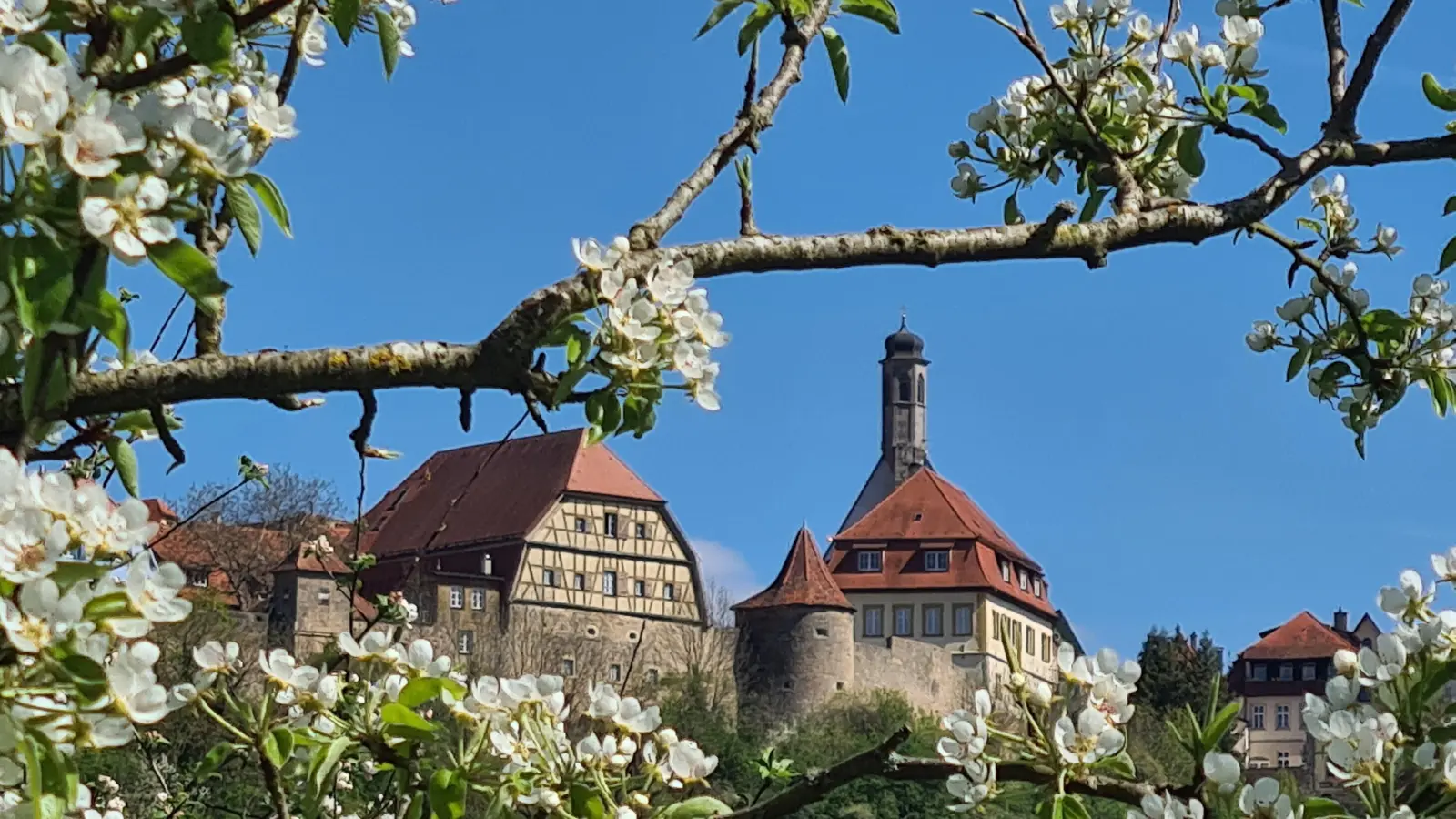 Platz 3: Unterhalb von Rothenburg im Frühling (105 Votes). (Foto: Günter Engelhard)