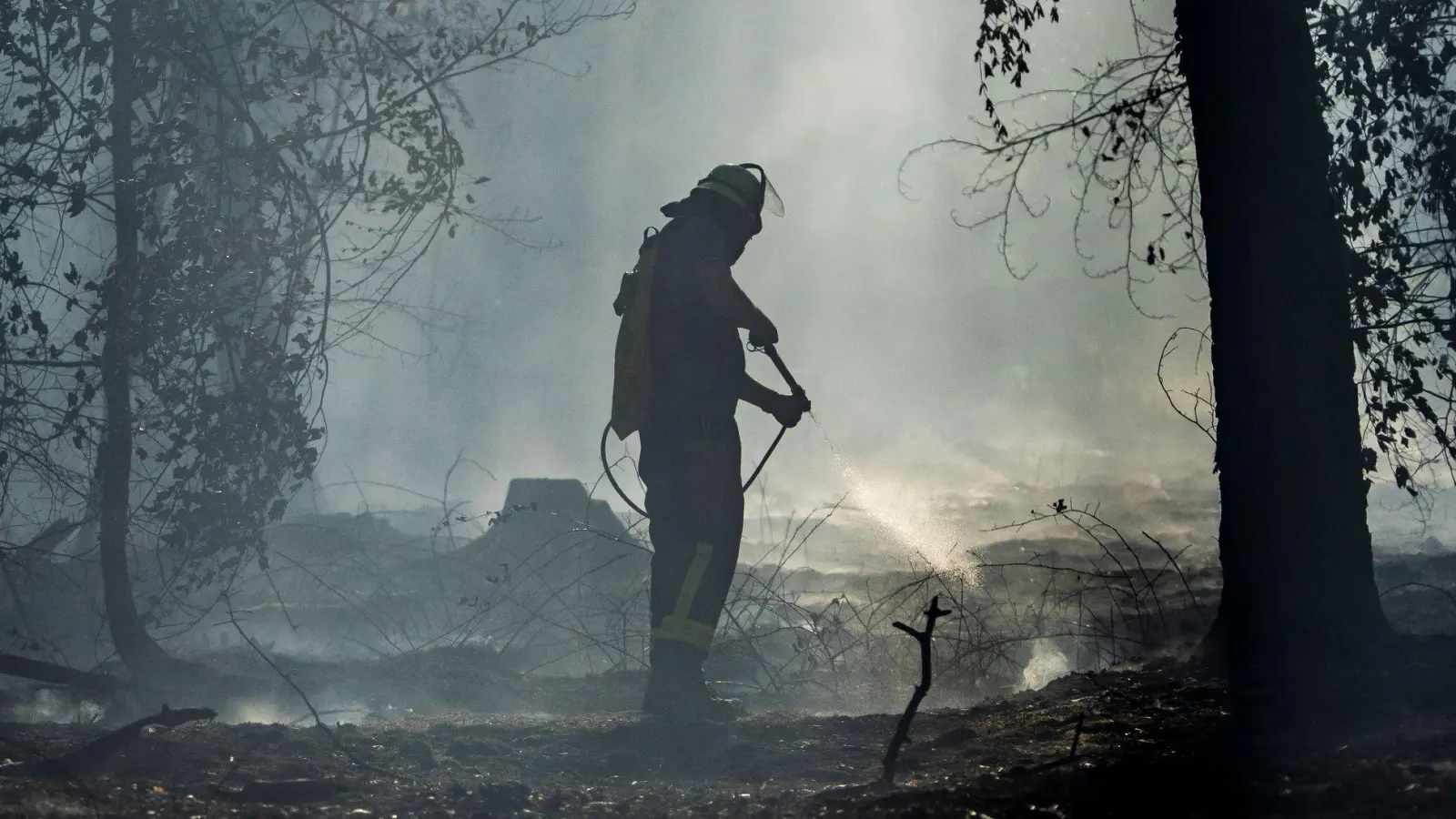 In dem betroffenen Waldgebiet bei Rodenbach stehen Nachlöscharbeiten an. (Foto: Andreas Arnold/dpa)