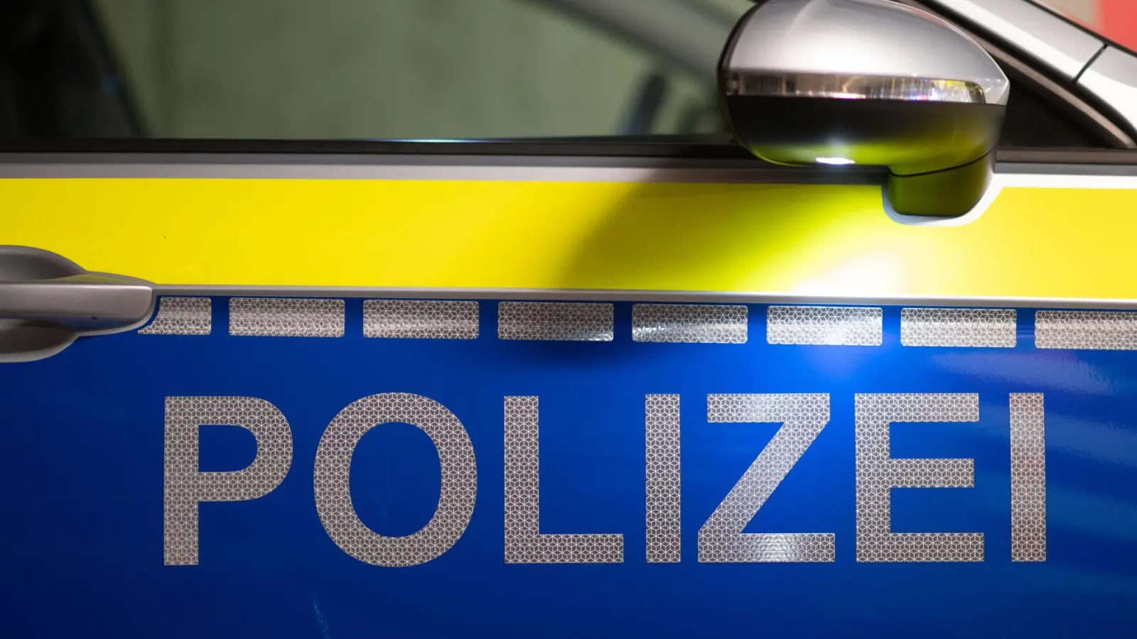 Zum Knochenfund in Burgheim ermittelt nun die Kripo. (Symbolbild) (Foto: Robert Michael/dpa)