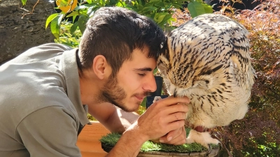 Danilo Batz und die Schleiereule Sirius sind eng miteinander verbunden. (Foto: Ulli Ganter)