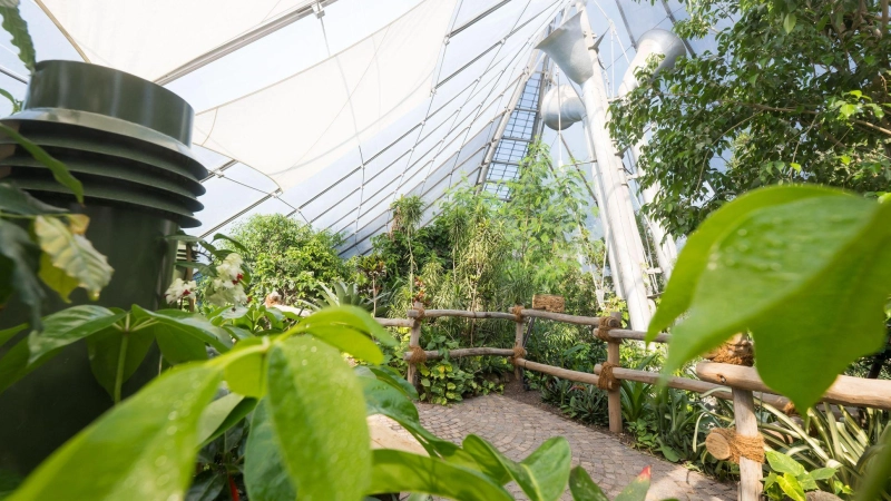Der Umbau hat nach Angaben des Tierparks etwa 11 Millionen Euro gekostet. (Foto: Tobias Hase/dpa)