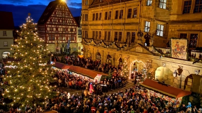Durch eine große Menschenmenge und am kurz zuvor erstmals angeschalteten Christbaum vorbei bewegte sich Pferd Da Vinci mit Timo Herrscher im Sattel gestern Abend sicheren Schrittes auf das Rathausportal zu. Das neue Reiterle legte eine souveräne Premiere hin. (Foto: Jürgen Binder)