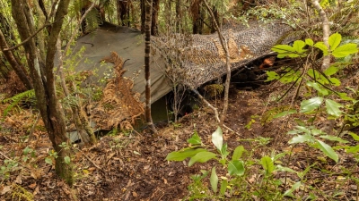 Das Hauptlager wurde in einem dichten Wald auf der Nordinsel entdeckt. (Foto: NZ Police/dpa)