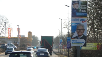 Die Laternenmasten an der Rothenburger Straße sind mit den Wahlplakaten der Parteien gepflastert. Wie viele in der Stadt insgesamt hängen, weiß niemand. (Foto: Winfried Vennemann)