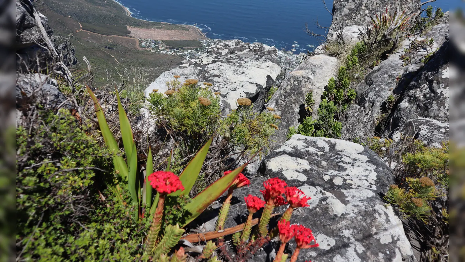 Grün und bunt erlebt die Reisegruppe Südafrika von Beginn an. (Foto: Gudrun Bayer)