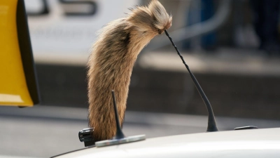 Der Fuchsschanz war für viele Fahrer des Opel Manta unverzichtbar.  (Foto: Thomas Frey/dpa)