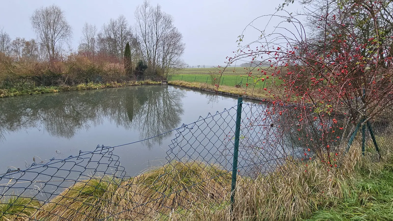 Entspricht nicht mehr den Vorgaben: Der Löschteich im Leutershäuser Stadtteil Mittelramstadt. Der Damm zum Bach hin wurde vom Biber in Mitleidenschaft gezogen. (Foto: Wolfgang Grebenhof)