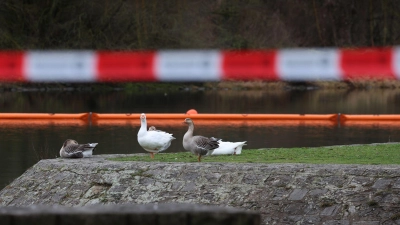 Ölsperren sollen verhindern, dass sich der Kraftstoff weiter ausbreitet.  (Foto: Karl-Josef Hildenbrand/dpa)