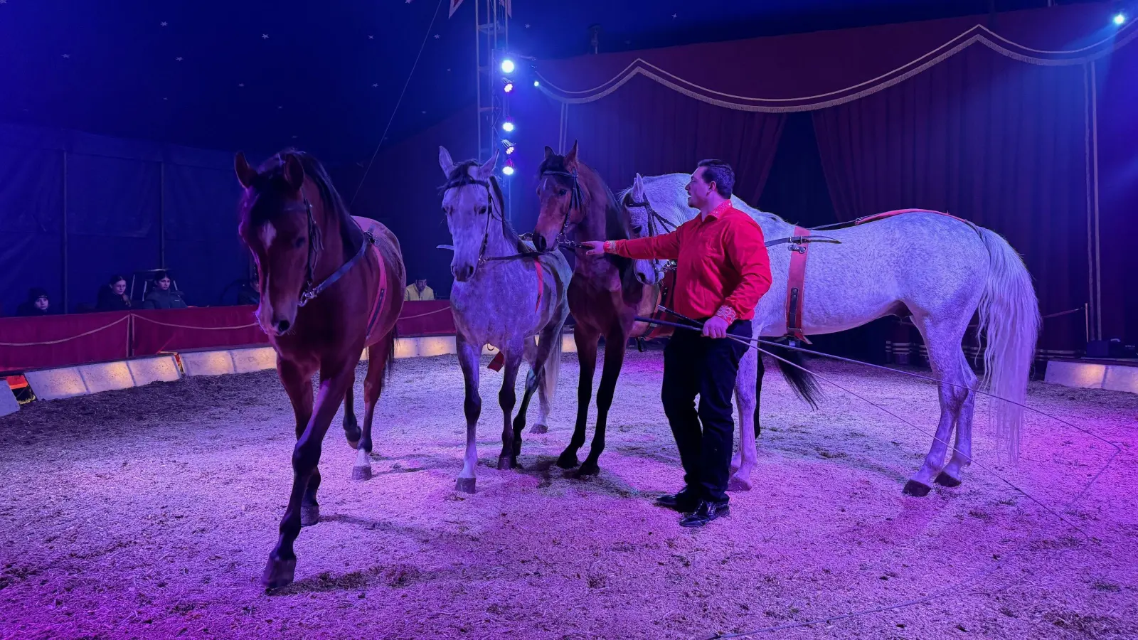 Der Zirkus Henry gastiert aktuell in Elpersdorf (Ansbach). Mit Akrobatik und Lichtershow zogen die Artisten die Zuschauer in den Bann. (Foto: Lara Hausleitner)