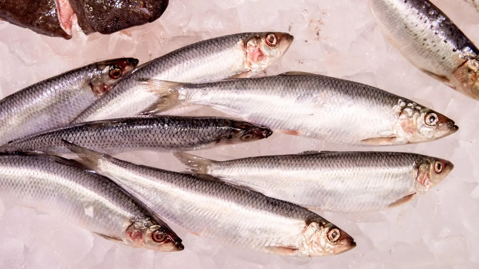 WWF-Marktcheck: Lediglich 27 Prozent der untersuchten Fischprodukte in deutschen Supermärkten schnitten als empfehlenswert ab. (Foto: Zacharie Scheurer/dpa-tmn)