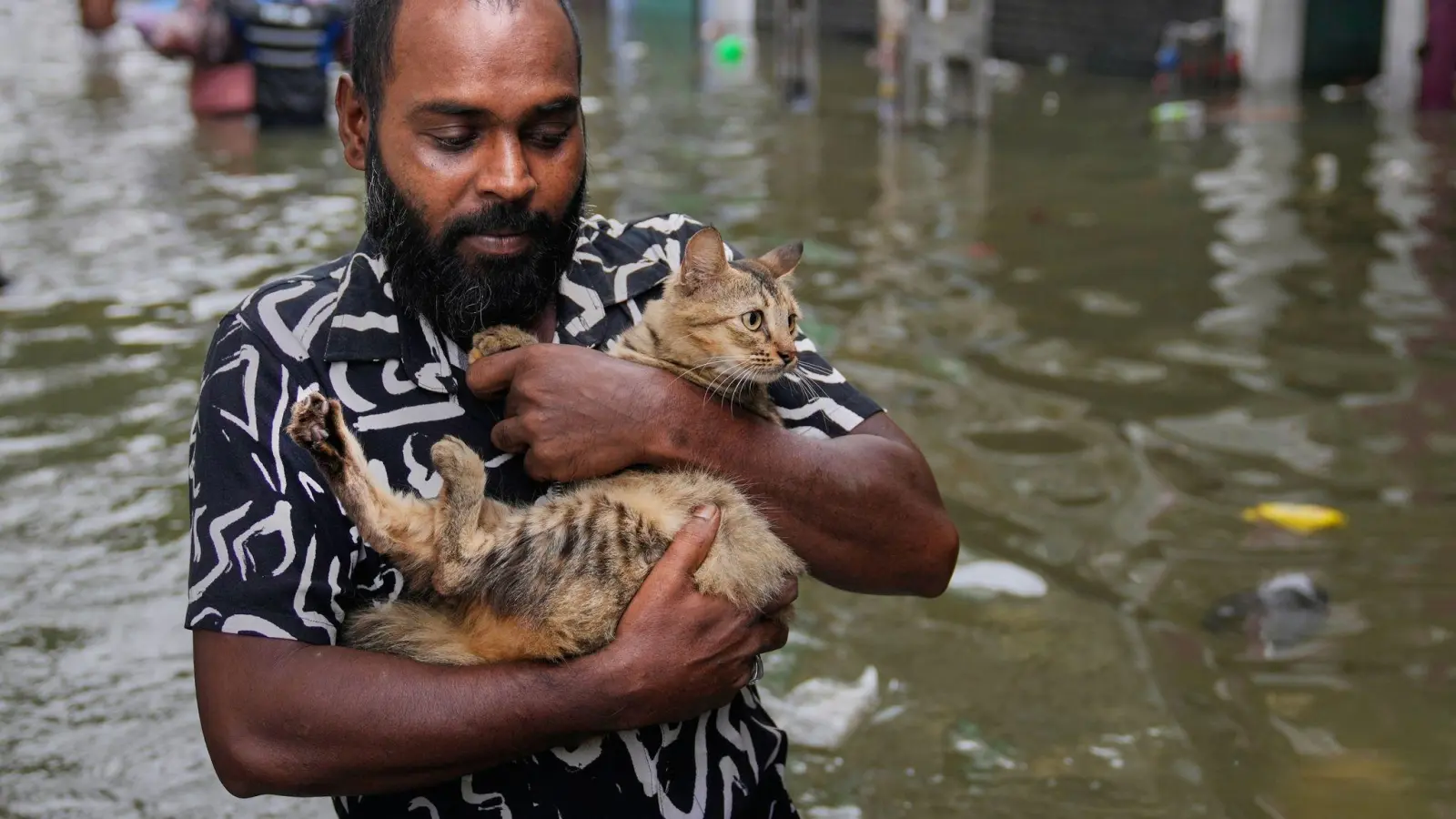 Mit Katze durch die überfluteten Straßen (Foto: Eranga Jayawardena/AP/dpa)
