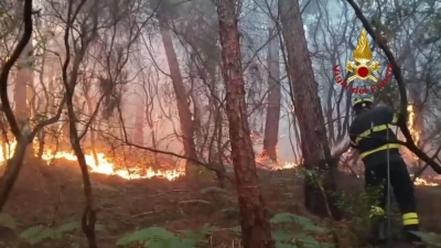 Wegen des Waldbrands mussten mehr als 3.500 Menschen ihre Häuser verlassen. (Foto: -/Vigili del Fuoco/dpa)
