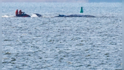 Mobilsierungsversuche gab es ab Mittag. (Foto: Jens Büttner/dpa)