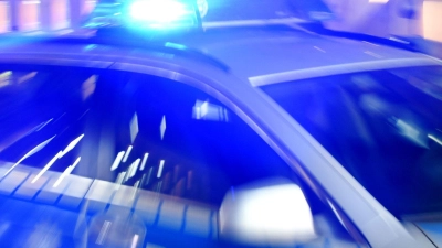 Als die Polizei eintrifft, hat der Trainer den Platz bereits verlassen. (Symbolbild) (Foto: Carsten Rehder/dpa)