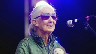 Jane Goodall auf der Greenpeace-Bühne beim Glastonbury Festival in Worthy Farm. (Foto: Ben Birchall/PA Wire/dpa)