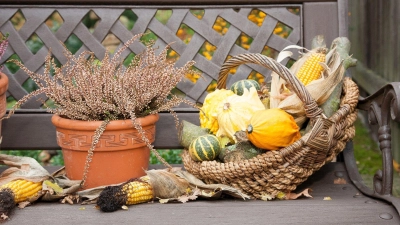 Herbstliche Deko: Zierkürbisse sind ein schöner Blickfang auf Balkon und Terrasse. (Foto: Kai Remmers/dpa-tmn)