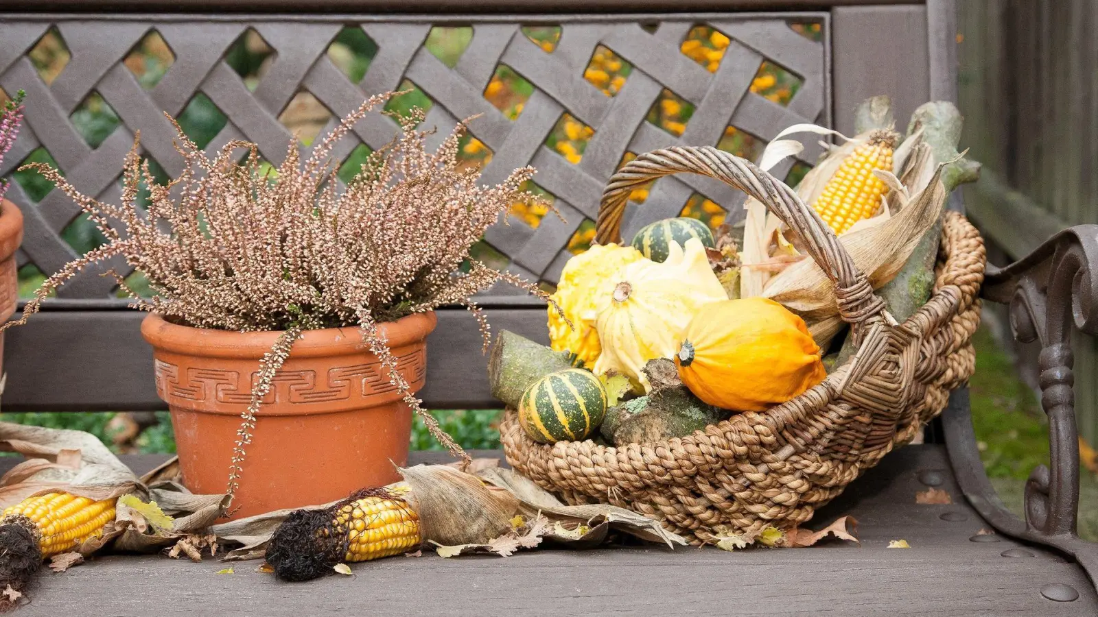 Herbstliche Deko: Zierkürbisse sind ein schöner Blickfang auf Balkon und Terrasse. (Foto: Kai Remmers/dpa-tmn)