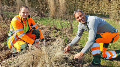 Manuel Seeg und Jörg Petzold sind die neuen Stadtgärtner in Burgbernheim. (Foto: Katrin Merklein)