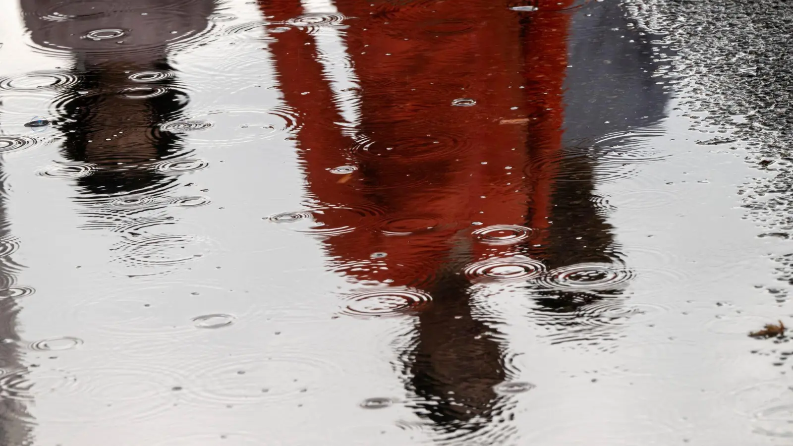 Der Herbst zeigt sich im Freistaat in den kommenden Tagen von seiner ungemütlichen Seite. (Foto: Peter Kneffel/dpa)