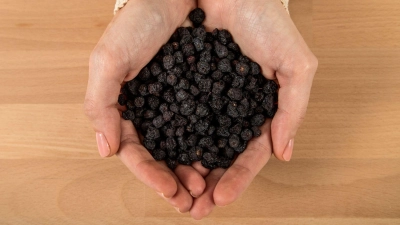 Aroniabeeren sind beliebt. Die in geringer Menge enthaltene Blausäure ist in der Regel unbedenklich. (Foto: Christin Klose/dpa-tmn)