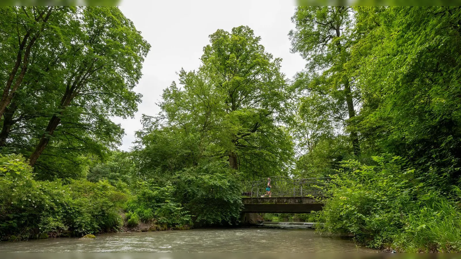 Ein Tunnel könnte den Verkehr aus dem Englischen Garten verbannen und eine neue Tram-Linie ermöglichen - und damit mehr Raum für Natur schaffen (Symbolbild). (Foto: Stefan Puchner/dpa)