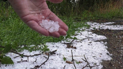 Große Hagelkörner kamen bei einem Unwetter in Mecklenburg-Vorpommern runter. (Foto: Ralf Drefin/SWM DV Studio/dpa)