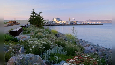 Der neue Bayfront Park in San Francisco: früher Industriegebiet, heute Erholungsort mit Aussicht. (Foto: Marion Brenner/Surfacedesign/dpa-tmn)