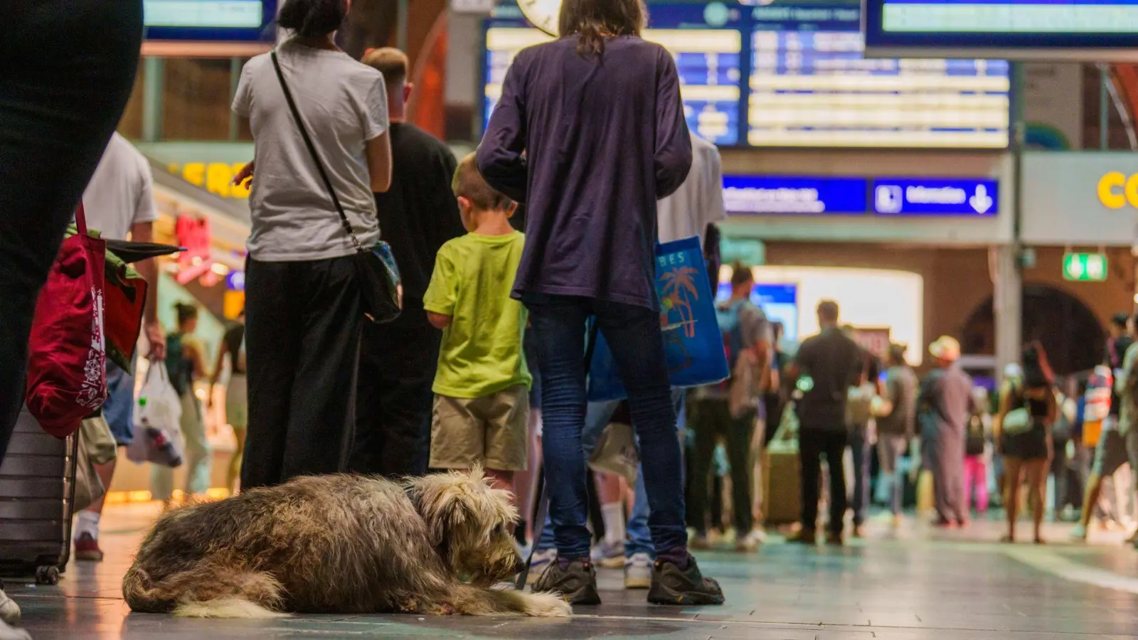 Nach der Störung bei der Deutschen Bahn läuft der Zugverkehr wieder an. Viele Fahrgäste fragen sich: Was gibt es nun für Entschädigungen? (Foto: Andreas Arnold/dpa/dpa-tmn)
