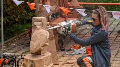Res Hofmann, Deutsche Meisterin im Kettensägen-Schnitzen, gab im Rahmen des Holztags 2023 eine Kostprobe ihres Könnens. (Archivbild: Mirko Fryska)
