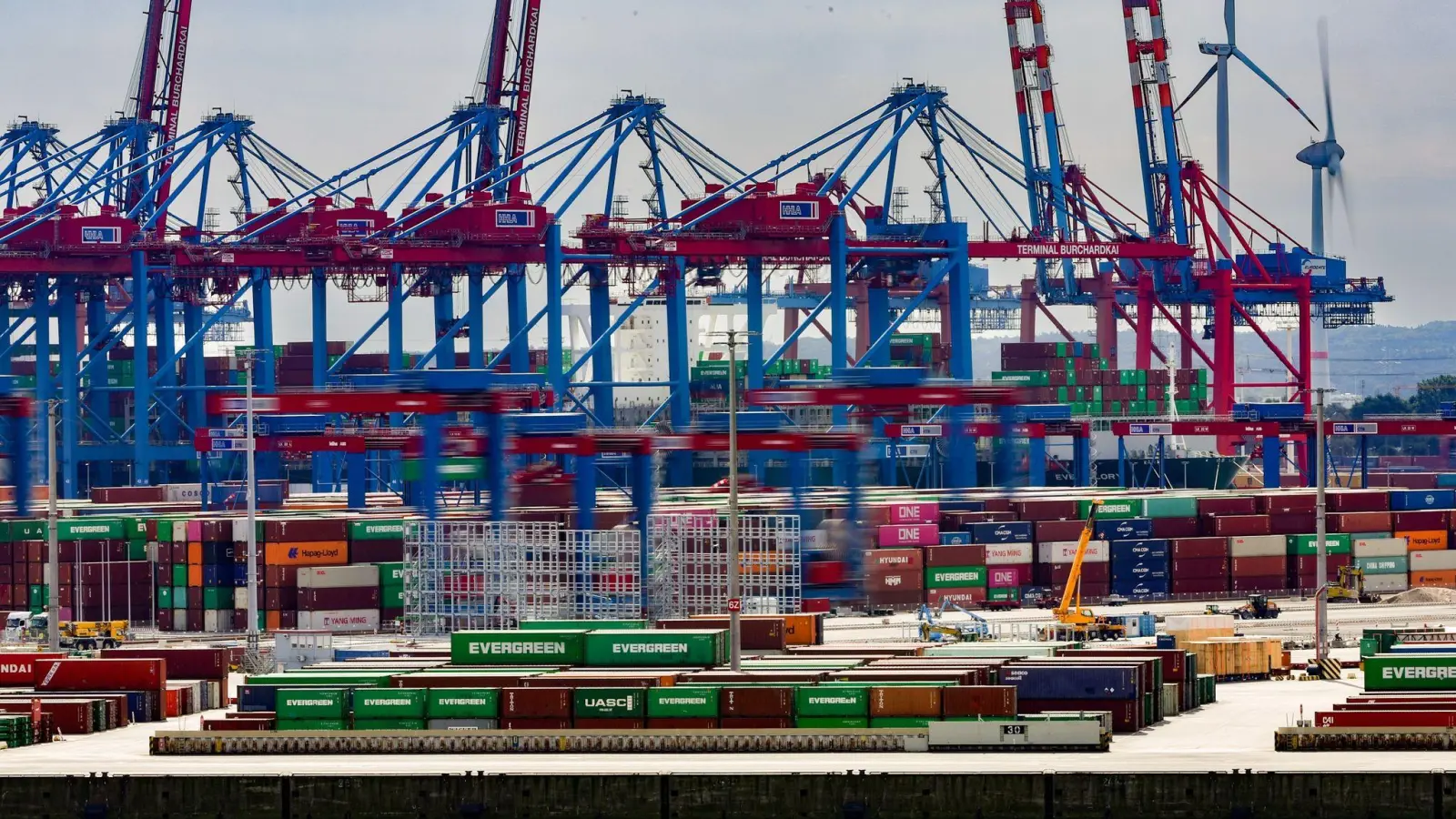 Containerbrücken ragen im Hamburger Hafen in den Himmel. (Foto: Ulrich Perrey/dpa)