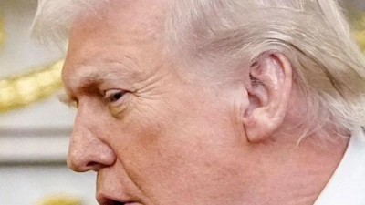 Noch vor zwei Monaten haben sich Trump und Merz ziemlich gut verstanden. (Archivbild) (Foto: Kay Nietfeld/dpa)