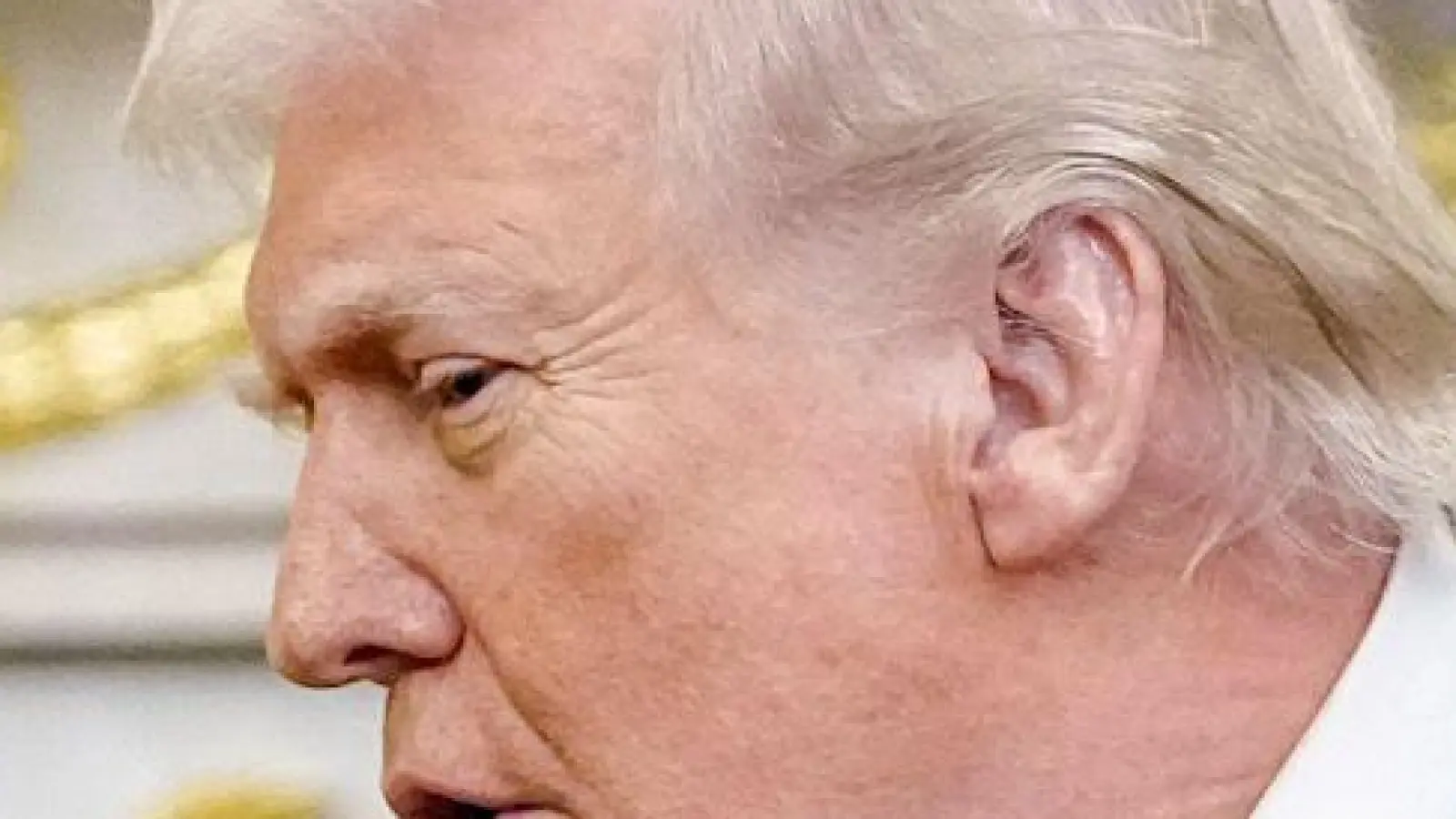 Noch vor zwei Monaten haben sich Trump und Merz ziemlich gut verstanden. (Archivbild) (Foto: Kay Nietfeld/dpa)