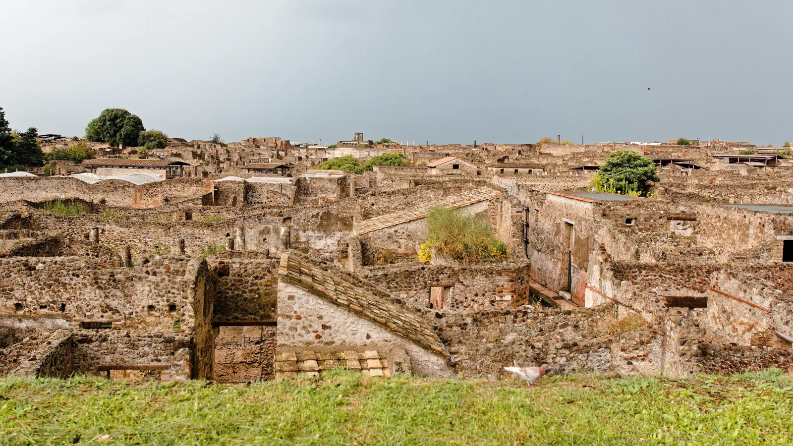 Ein Blick über die Ruinen von Pompeji. (Foto: Tizian Gerbing)