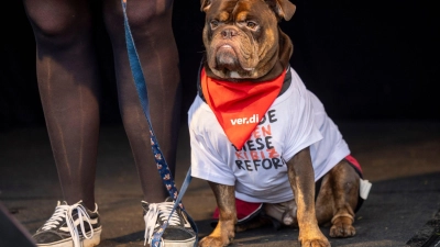 Hund Henry beim Verdi-Streik (Foto: Thomas Banneyer/dpa)