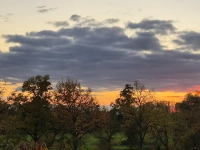 Herbstfarben - gesehen in Neustadt (Foto: Rosemarie Neuner-Ramming)