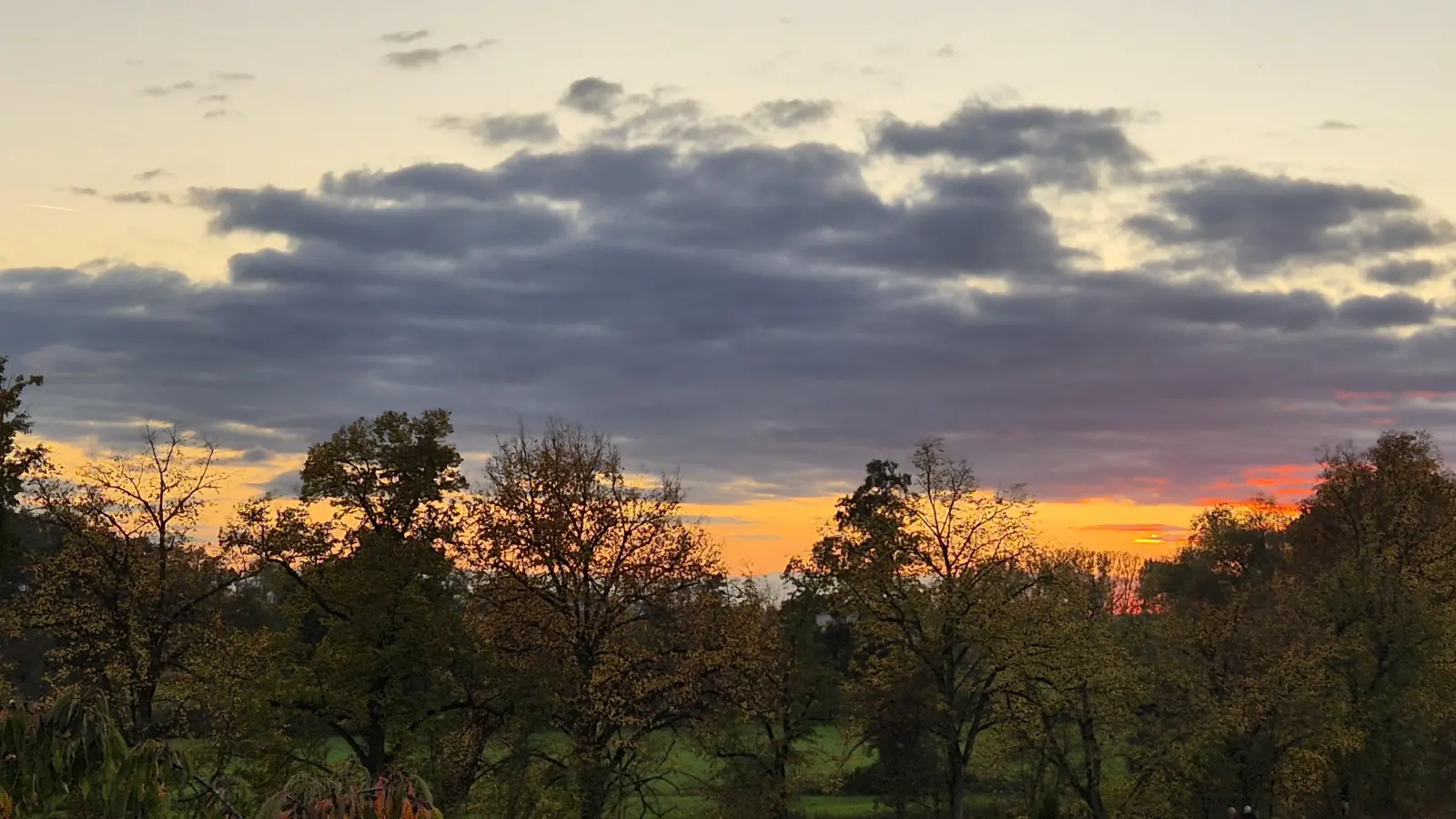 Herbstfarben - gesehen in Neustadt (Foto: Rosemarie Neuner-Ramming)