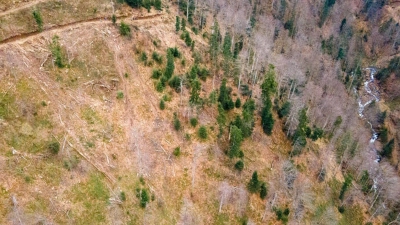 Die Umweltschutzorganisation Greenpeace wirft Ikea vor, an der Abholzung von Wäldern in Rumänien beteiligt zu sein. (Foto: -/Greenpeace CEE - Rumänien/dpa)