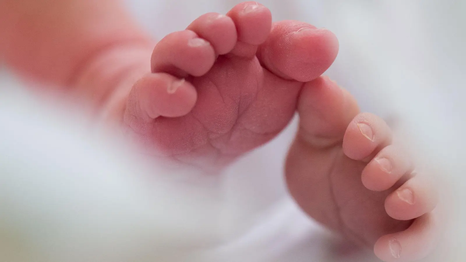 In vielen Ländern ist die Geburtenrate in den vergangenen Jahrzehnten stark gesunken. Die Arbeit im Heimbüro könnte den Rückgang laut einer neuen Studie möglicherweise etwas bremsen. (Symbolbild) (Foto: Arno Burgi/dpa-Zentralbild/dpa)