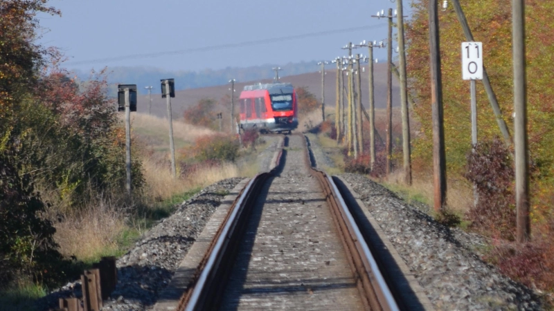 Alleine auf der Aischgrundbahn sind hitzebedingt an vier Stellen Beschädigungen aufgetreten. (Archivbild: Johannes Hirschlach)