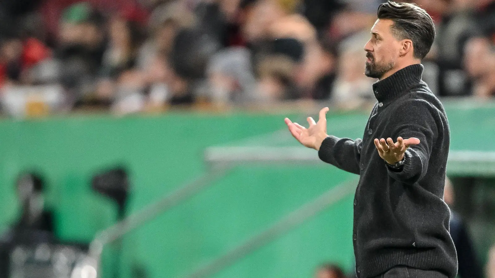 Auch im DFB-Pokal steht Sandro Wagner wieder mit leeren Händen da. (Foto: Harry Langer/dpa)