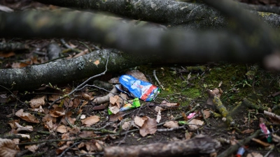 Durch einen umgestürzten Baum sind bei Flensburg drei Menschen ums Leben gekommen. (Foto: Daniel Reinhardt/dpa)